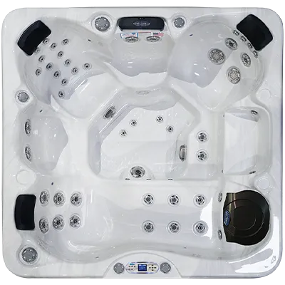 Avalon EC-849L hot tubs for sale in West New York