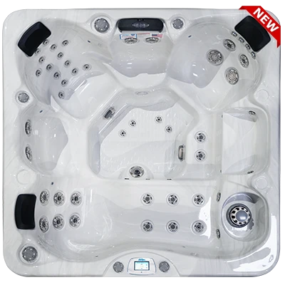 Avalon-X EC-849LX hot tubs for sale in West New York