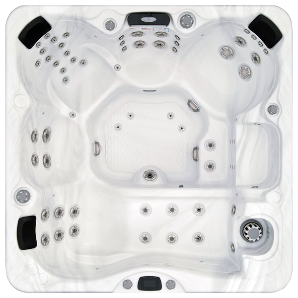 Avalon-X EC-867LX hot tubs for sale in West New York